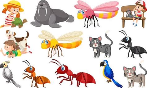 Air Animals Vector Art, Icons, and Graphics for Free Download