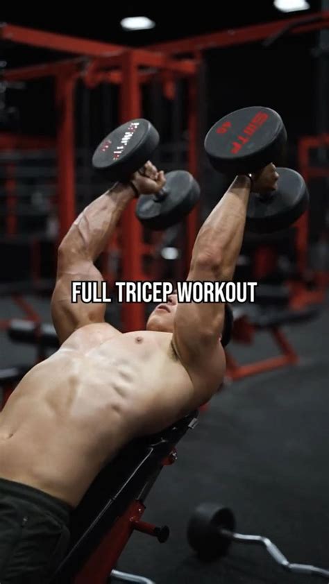 Full Tricep Workout For Bigger Stronger Arms So Solid Uk