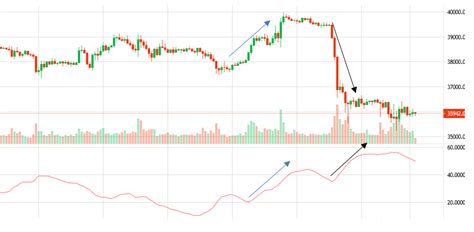 The Best Indicators For Crypto Trading Margex Blog