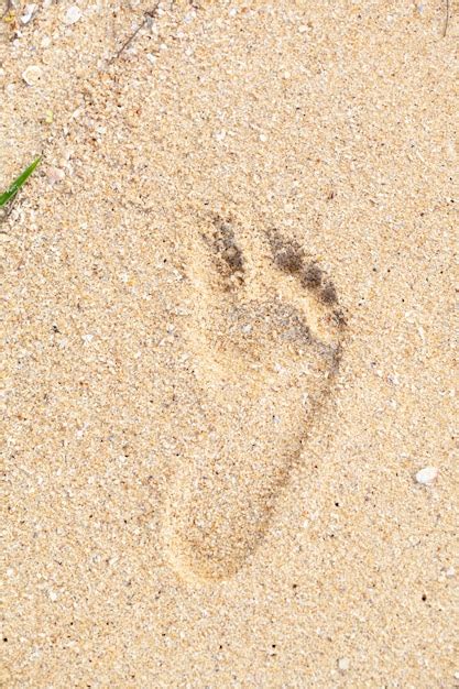 Empreintes De Pas Dans Le Sable La Plage Fond De Plage De Sable