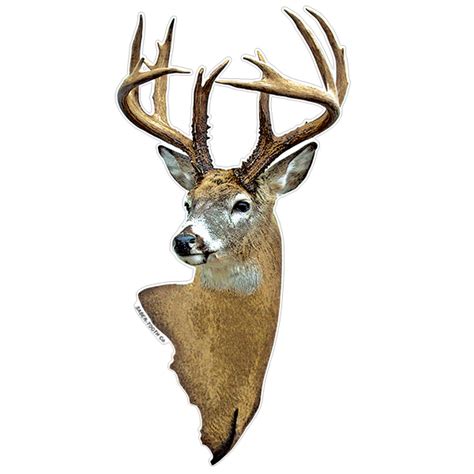 Deer Head Wildlife Decals - Saber-Tooth Co.