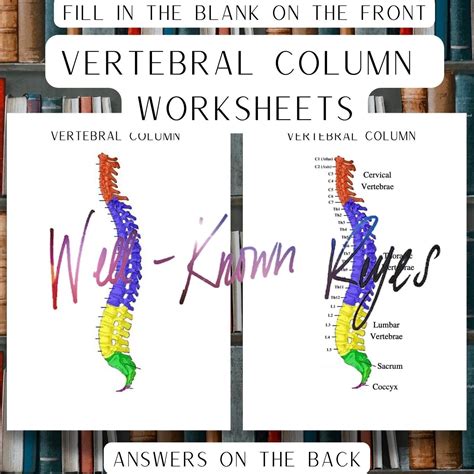 Vertebral Column Digital Worksheets Practice Labeling The Vertebrae