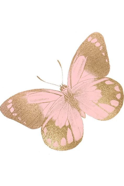 a pink and gold butterfly on a white background