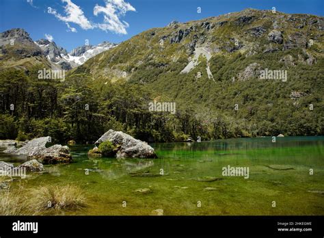 Blue Lake Nelson Lakes National Park South Island Aotearoa New