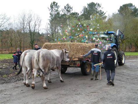 Les Bœufs Gras