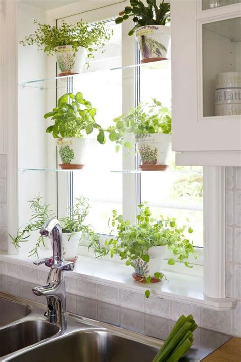 Kitchen Window Herb Garden How To Grow A Thriving Kitchen Herb Garden