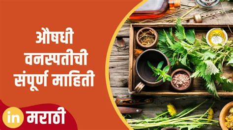 औषधी वनस्पतीची संपूर्ण माहिती Medicinal Plant Information In Marathi