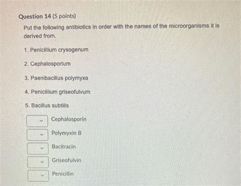 Solved Question 13 5 Points Match The Following