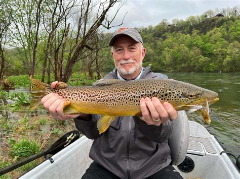 Dallys Fly Fishing Report 4723 The Ozark Fly Fisher Journal