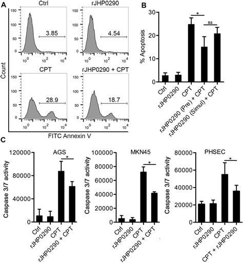 Anti Apoptotic Effect Of Rjhp0290 On Epithelial Cells A Ags Cells