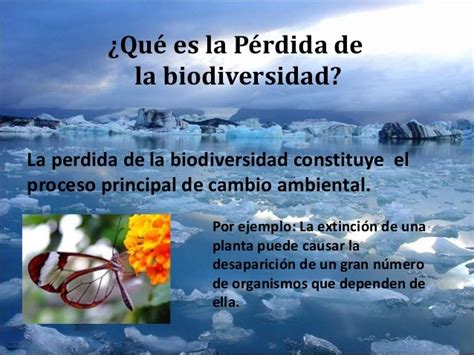 Pérdida De La Biodiversidad