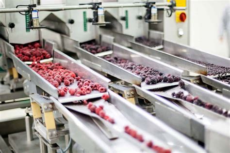 Food Processing Essco Incorporated