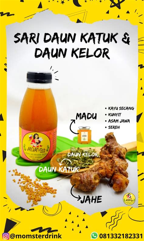 Sari Daun Katuk Daun Kelor Pelancar ASI ASI Booster Makanan