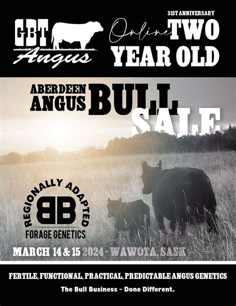 Gbt Angus Bull Sale Catalog 2024 By Peltonlivestock Issuu