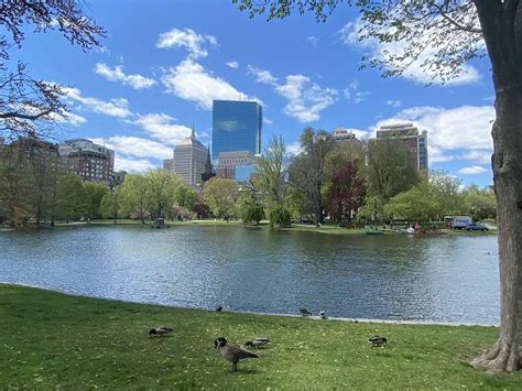 Boston Public Garden: How to Enjoy Your Time - Day Trip Queen