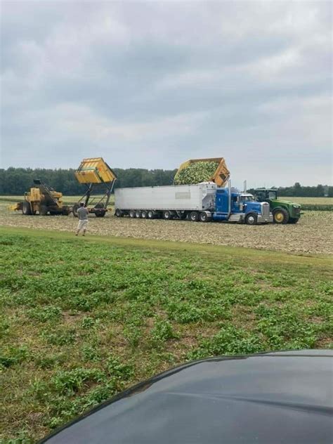 The Art of Corn Harvesting | Farm Credit of the Virginias