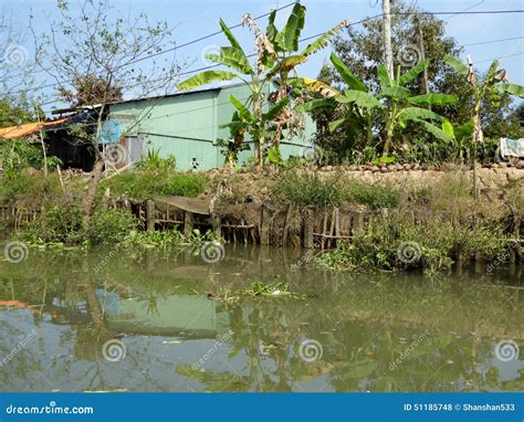 Banana Trees And A Building Along The Waterway Of The Mekong River