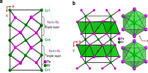 Figure From Peculiar Magnetism And Magneto Transport Properties In A