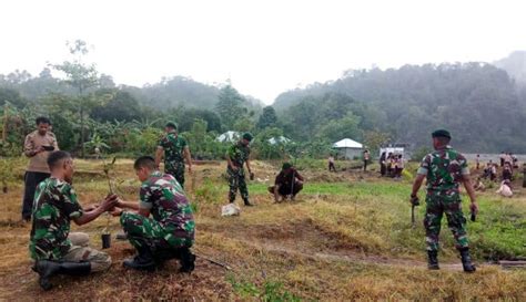 Lestarikan Alam Satgas Yonif Rk Tanam Ribuan Pohon Di Ambon