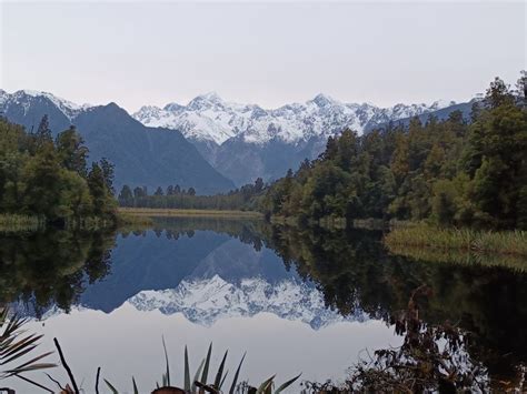 Franz Josef Half Day Nature Tour To Lake Matheson Getyourguide