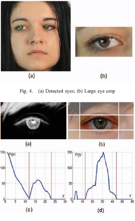 A fast method for detecting eye accessing cues used in Neuro-Linguistic ...