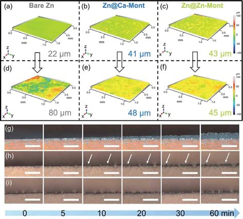 Sdcm Optical Images Of A And D Bare Zn B And E Zn Mont And C And