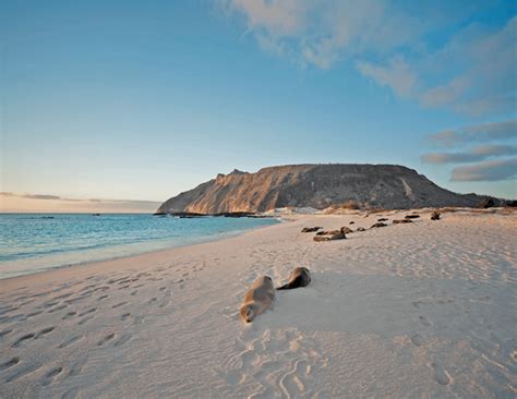 ecuador southtravelers