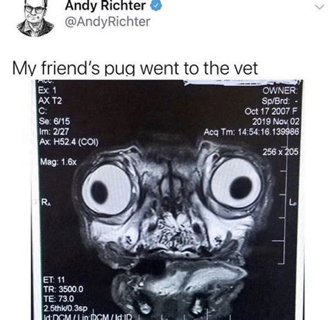 Ahh What The Fuck R Oddlyterrifying