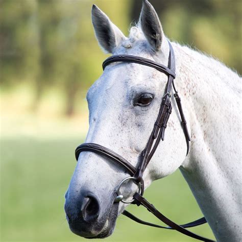 Black Avignon Raised Cavesson Bridle By Shires