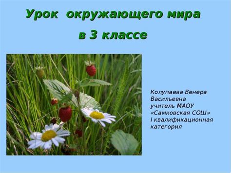 Экологическая безопасность 3 класс - презентация к уроку Окружающий мир ...