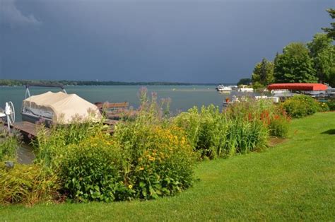 A Native Michigan Shoreline We Did It So Can You Part 2 Natural