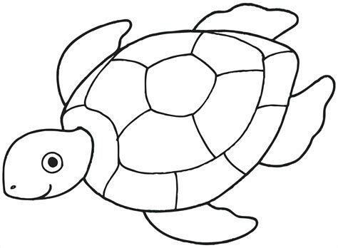 Turtle Shell Coloring Page at GetDrawings | Free download