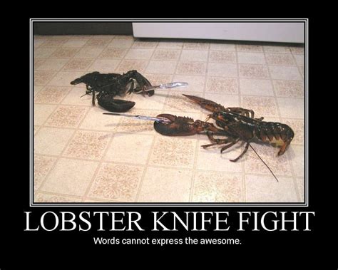 Lobster Knife Fight Demotivational Poster Demotivational Posters Daily