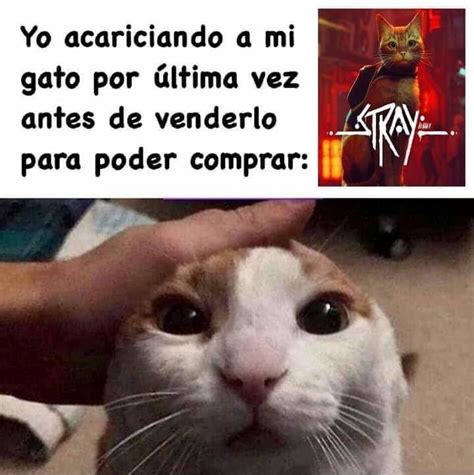 Noooo Meme Subido Por D1ni3l Memedroid