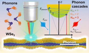 Unveiling The Complex Phonon Nature And Phonon Cascades In L To L