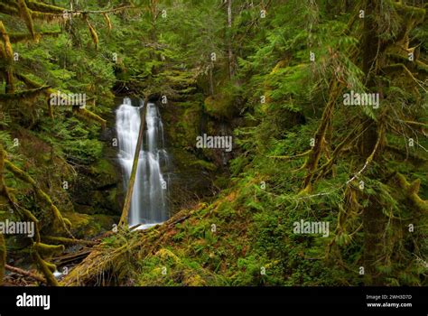 Lower Parker Falls Umpqua National Forest Oregon Stock Photo Alamy