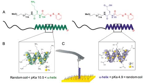 Chemical Structures And Schematic Representations Of The Synthetic Download Scientific Diagram