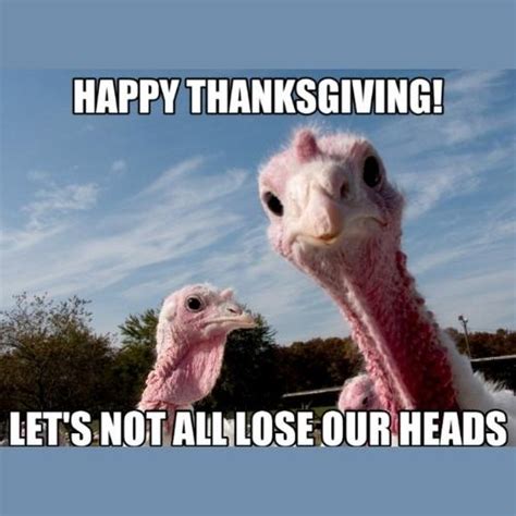 30 Most Hilarious Funny Turkey Memes 2023