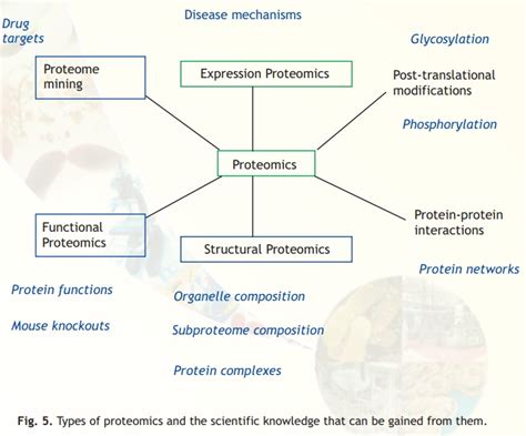 Proteomics And Types Of Proteomics