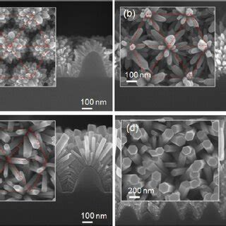 Cross Sectional And Top View Sem Images Of The Zno Nss On The Azo Seed