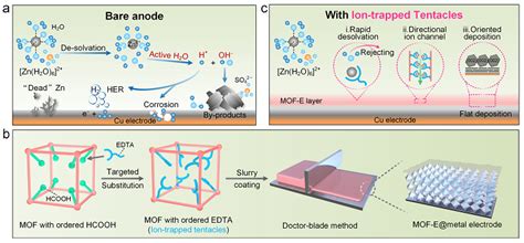 张凯课题组angew：接枝mof作为界面膜助力长寿命锌金属负极 先进能源材料化学教育部重点实验室