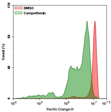 Cell Meter Intracellular GSH Assay Kit Optimized For Flow Cytometry