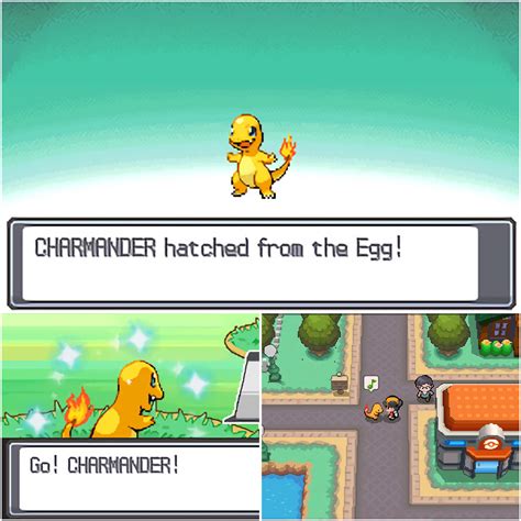 A Beginners Guide To Breeding Egg Moves Abilities And Pokeball