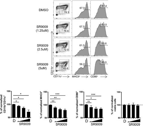 Figure From Pharmacological Modulation And Genetic Deletion Of Rev