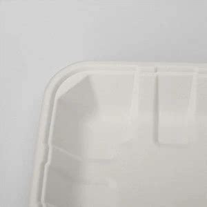 Buy Disposable Biodegradable Sugarcane Bagasse Rectangular Food Tray