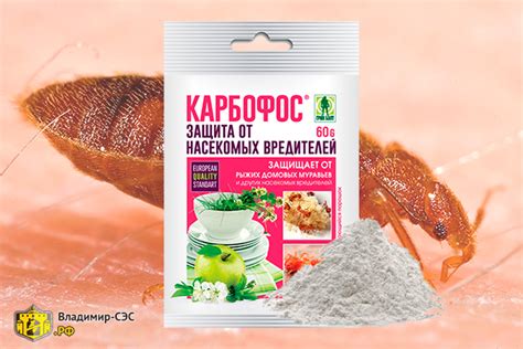 Купить порошок от клопов: дусты, диатомиты, растворимые | Блог службы ...
