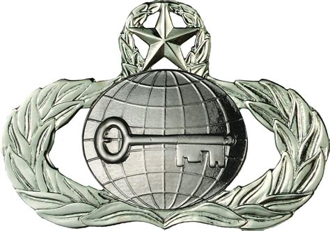 Air Force No Shine Master Intelligence Badge in 2023 | Badge, Usaf, Air ...