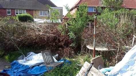 Tenant Turfed Out Of Council Home Because Back Garden Was Too Overgrown Mirror Online