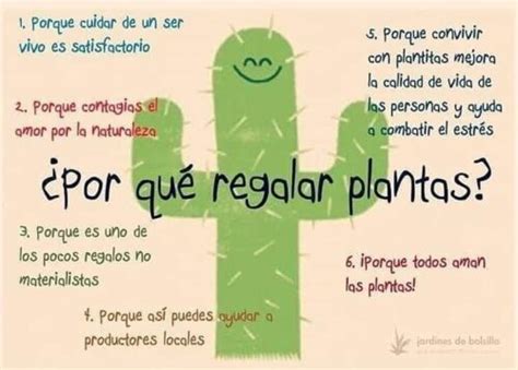 Bonitas Frases Inspiradoras Sobre Plantas Para Amantes De La Naturaleza