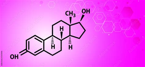 Vecteur Stock Female Sex Hormones Molecular Formula Human Estradiol